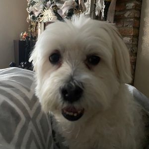 Meet your Posher, Ela